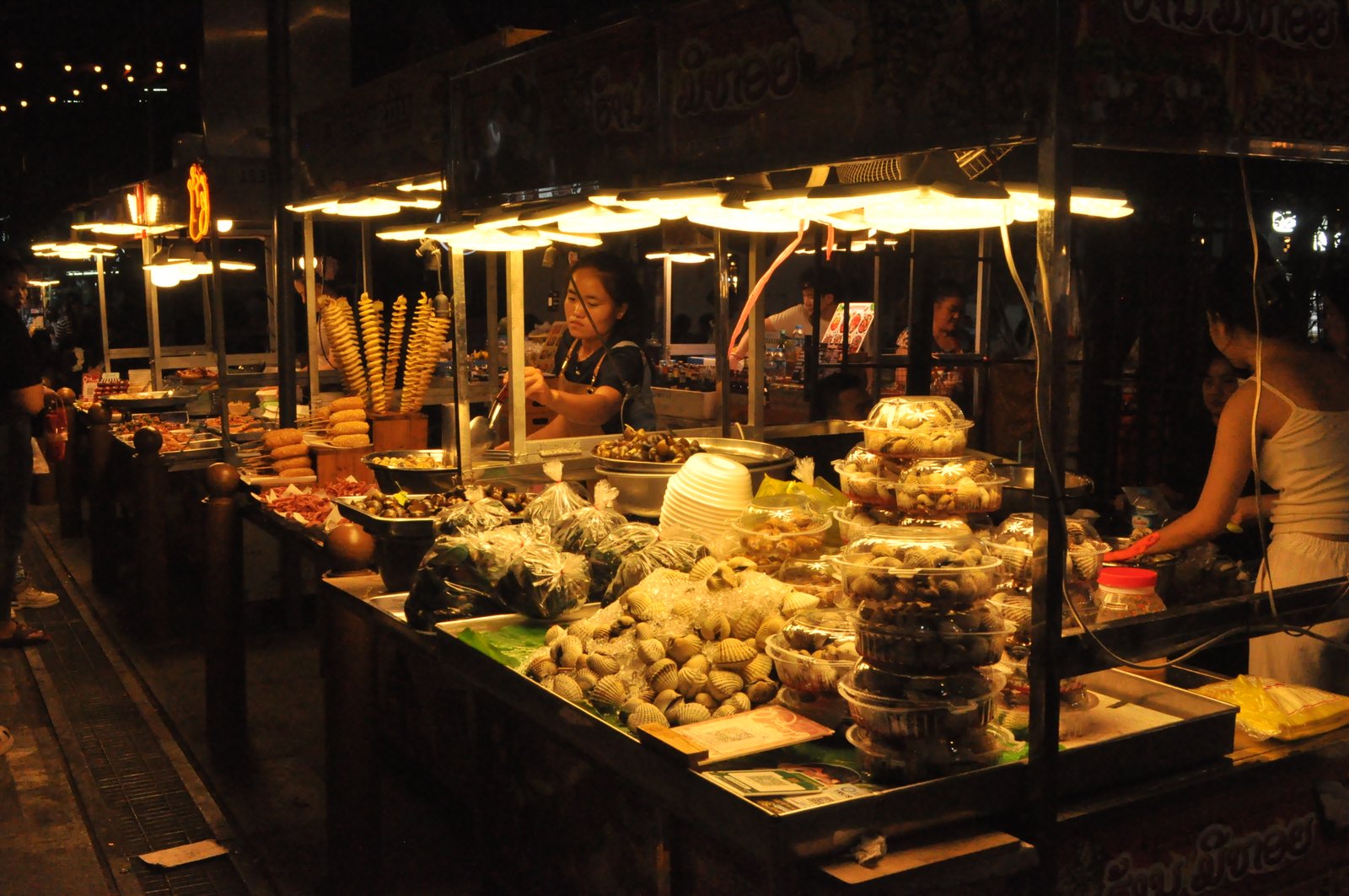 1 Day Vientiane Night Safari